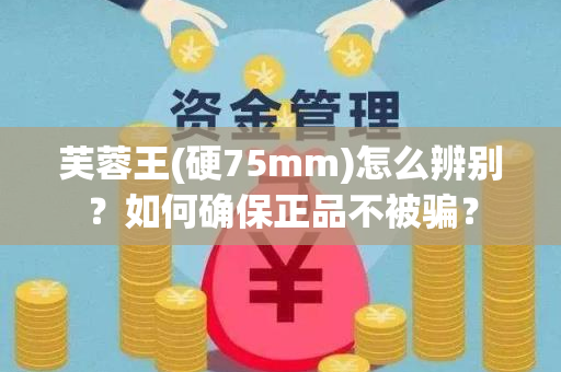芙蓉王(硬75mm)怎么辨别？如何确保正品不被骗？